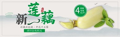 绿色水果蔬菜莲藕促销banner