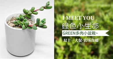 绿色清新双十一多肉盆景促销电商海报