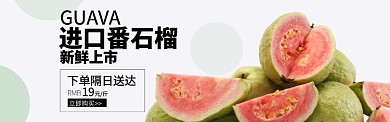 杂志风水果番石榴上市促销banner