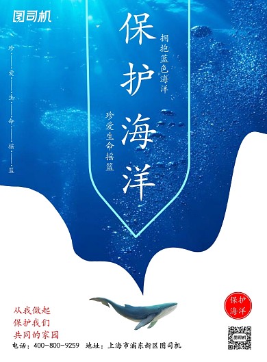 创意保护海洋广告印刷海报模板