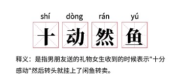 网络词语​十动然鱼公众号首图