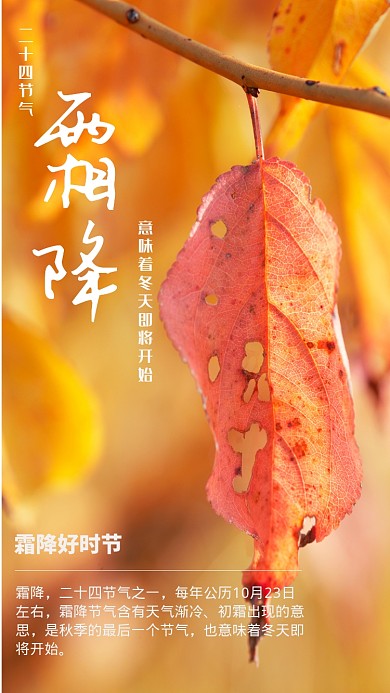霜降传统节气宣传手机海报