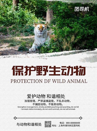 保护野生动物园印刷海报模版