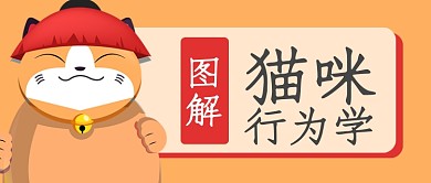 黄色宠物图解猫咪行为学公众号首图