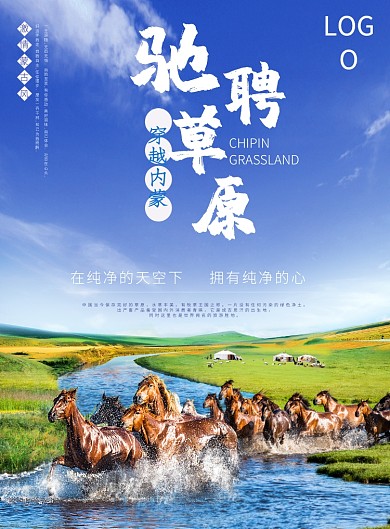 驰聘草原海报