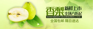 绿色水果香梨新鲜上市促销banner