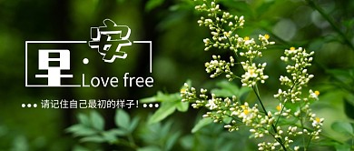 早安新媒体配图