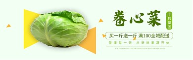 黄绿色水果蔬菜卷心菜促销banner