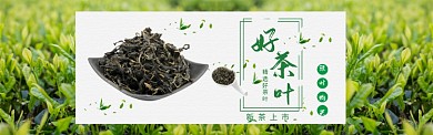 绿色自然茶叶促销banner