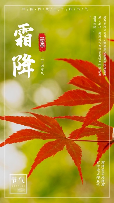 霜降传统节气简约宣传手机海报