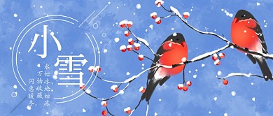 中国风二十四节气小雪花鸟公众号首图