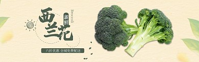 绿色水果蔬菜西兰花促销banner