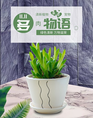 清新桌面多肉盆景促销电商海报