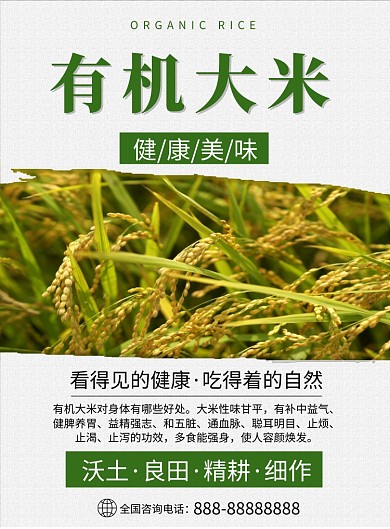 简约实物有机大米健康美味印刷海报
