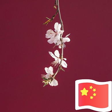 简约创意微信国庆头像淘宝直通车图片