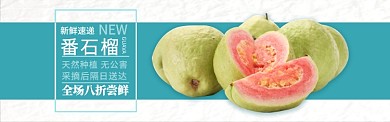青色水果番石榴上市促销banner