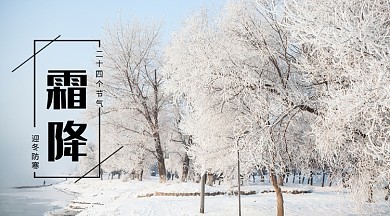 二十四个节气霜降手机海报