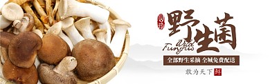棕色蔬菜农产品野生菌蘑菇促销banner