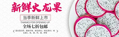 红色简洁水果火龙果上新促销banner