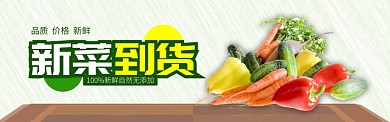 黄色新鲜蔬菜新菜上市banner