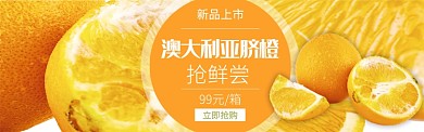 橙色水果蔬菜橙子脐橙促销banner