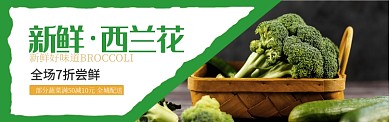 绿色水果蔬菜西兰花促销banner