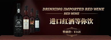进口红酒特惠淘宝banner