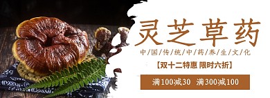 双十二中草药特惠淘宝banner