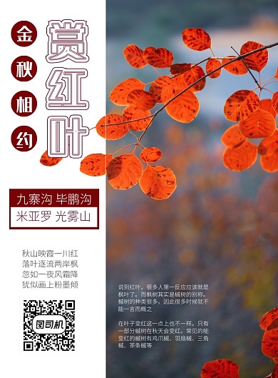 红灰秋季红叶旅游海报