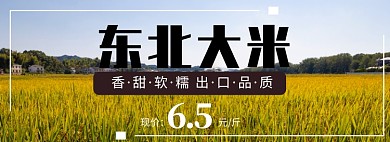 东北大米淘宝banner