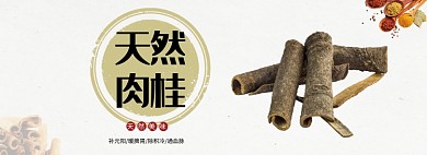 健康天然肉桂banner