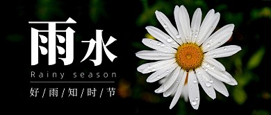 雨水节气公众号首图