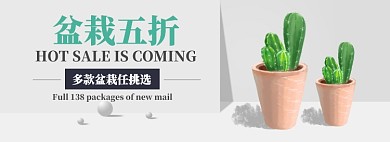 盆栽五折淘宝banner