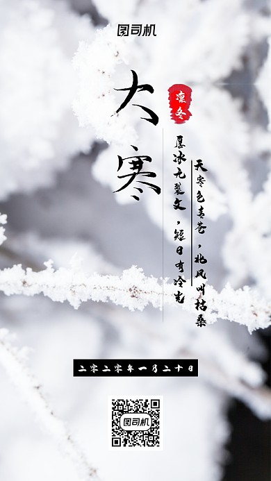 大寒小寒二十四节气冬至大气雪花海报