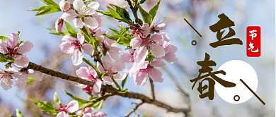 简约立春节气公众号首图