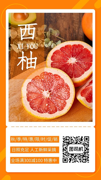 黄色简约秋冬水果西柚宣传手机海报