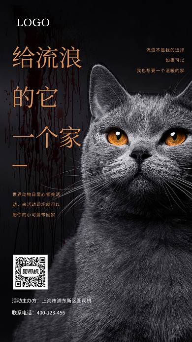 关爱流浪动物海报