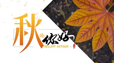 白色简约节气手机横图海报