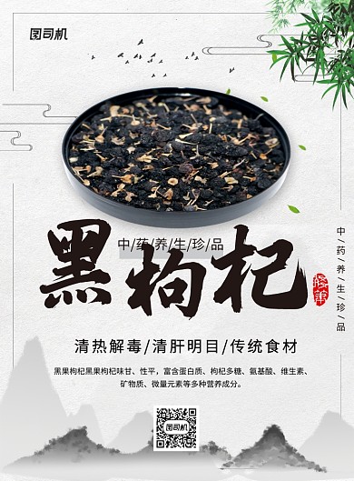 中国风野生黑枸杞养生宣传海报