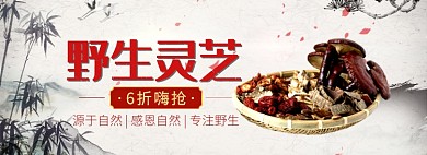 天猫野生灵芝限时优惠折扣淘宝banner