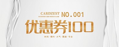 简约白色优惠券100元
