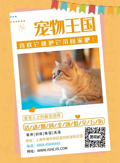 纯色宠物寄养训练美容店铺宣传海报