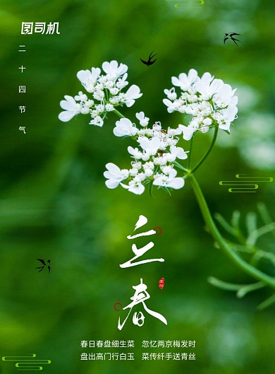 简约风春季立春节气海报
