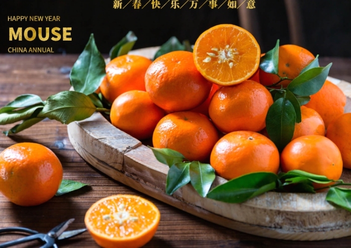大气简约心想事成新年海报