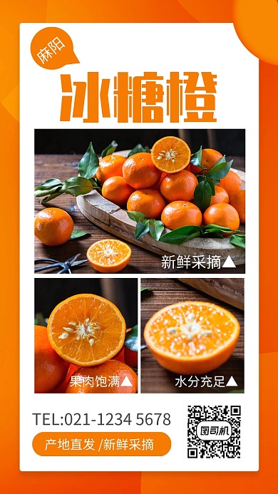 黄色简约麻阳冰糖橙水果宣传手机海报
