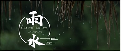 深绿色自然树叶下雨节气雨水雨滴微信公众号素材图片