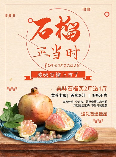石榴正当时海报