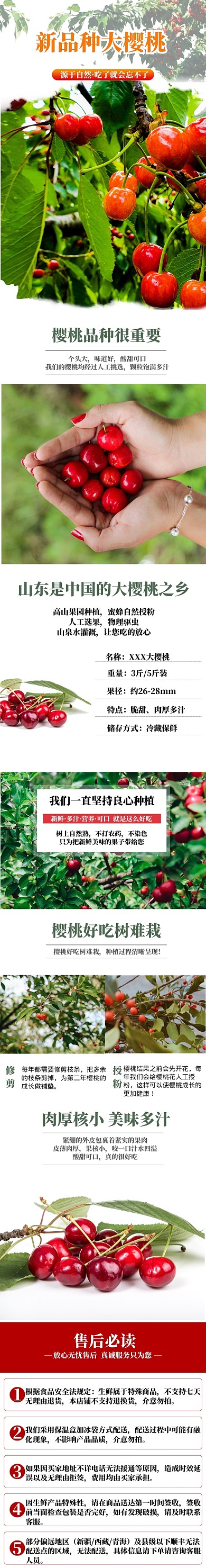 清新新品种大樱桃详情页