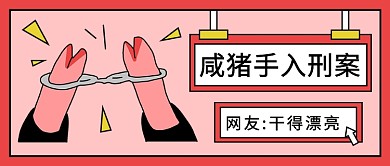 咸猪手入刑案公众号首图