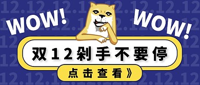 双十二剁手不要停公众号首页